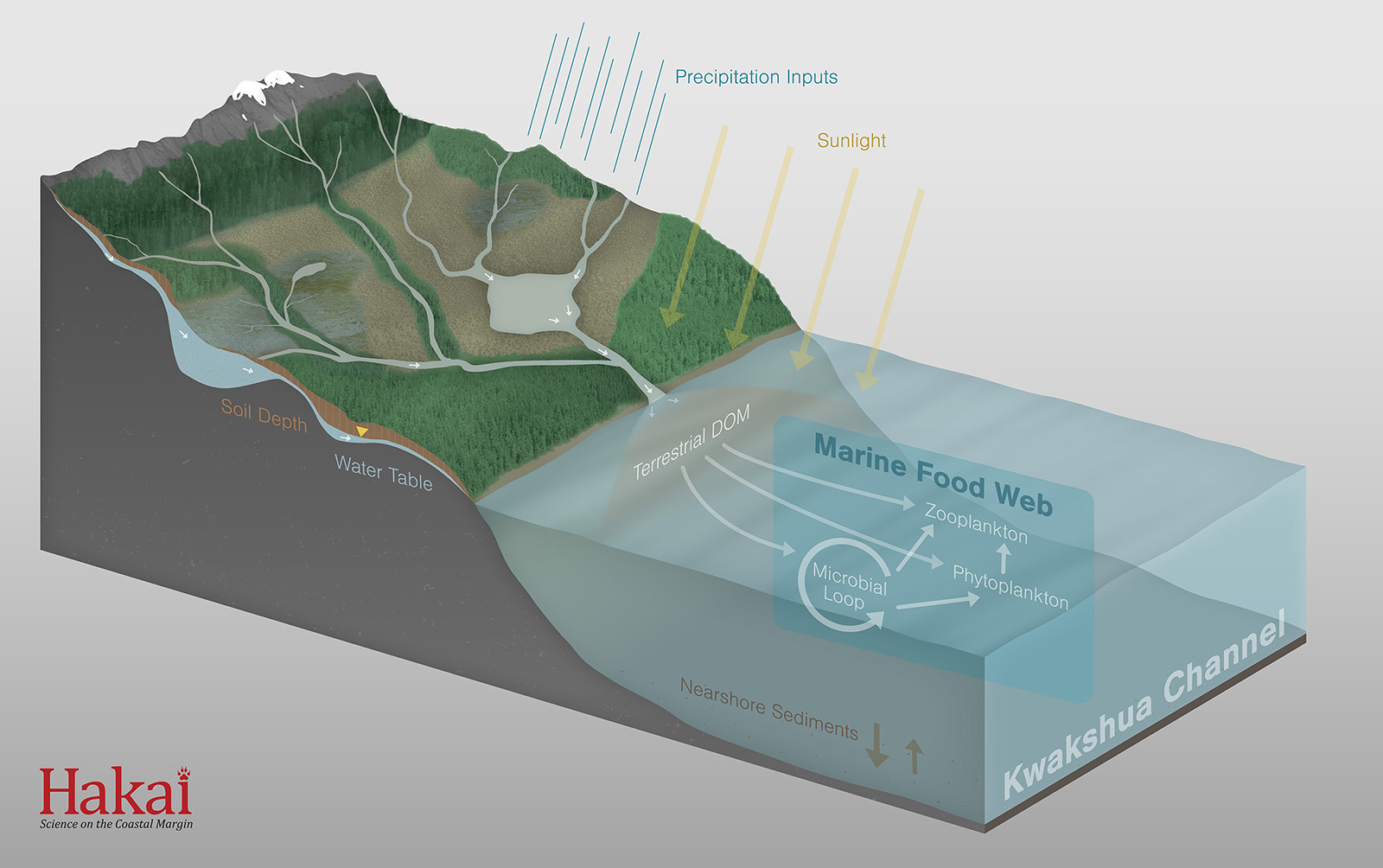 scientific conceptual model illustration