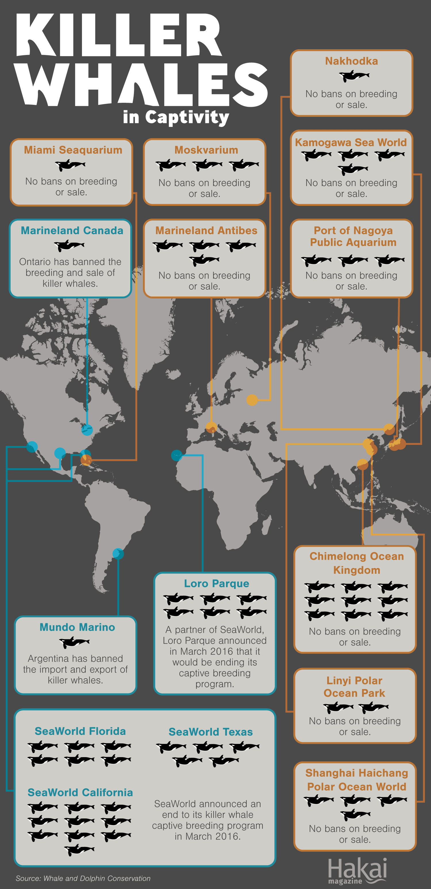 Infographic of orcas in captivity around the world