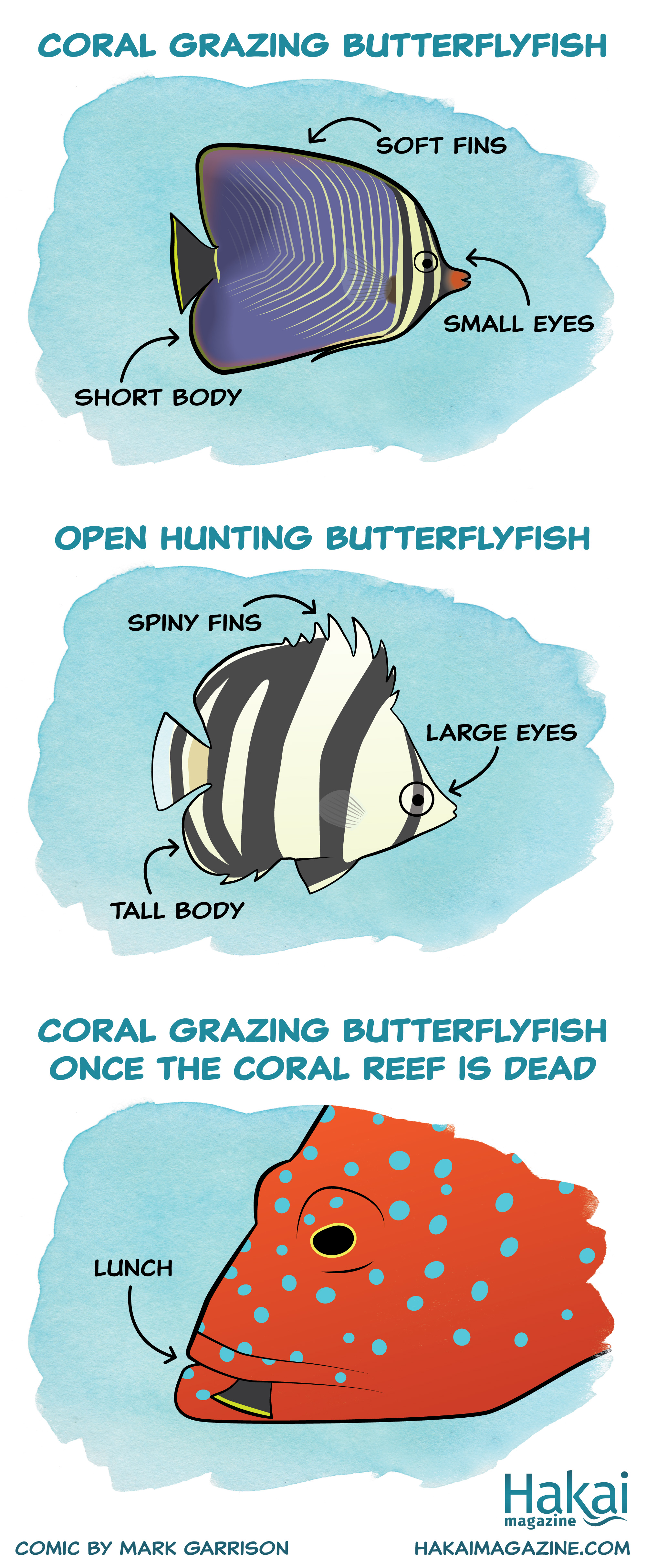 Comic about how environment affects the evolution of defences in fish